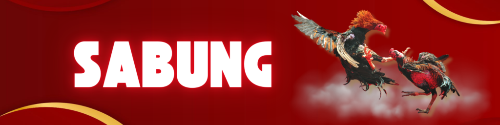 sabung
